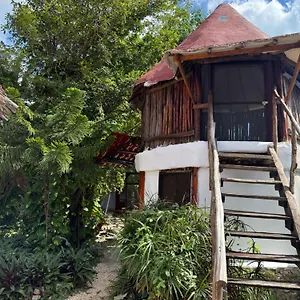  Pensión Tree House México